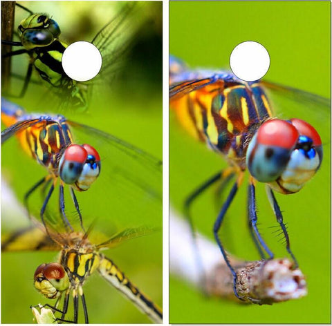 Dragonfly Cornhole Boards